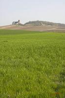 Cjp_2010_04_20_161441 (1).jpg